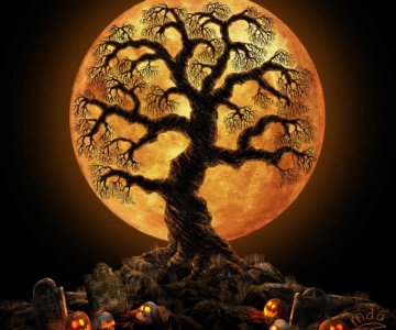 Halloween_Tree-wallpaper-6269336.jpg