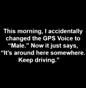 GPS voice.jpg