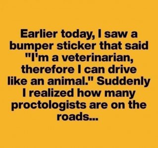 Vet driving.jpg