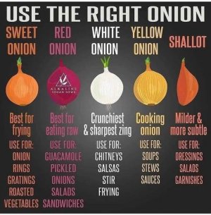 onions.jpg