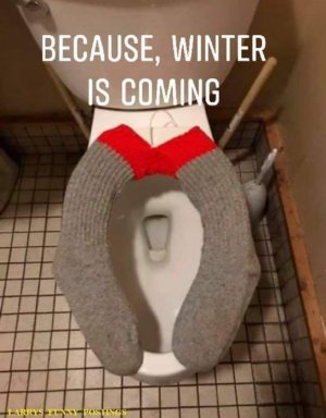 Sock toilet.jpg