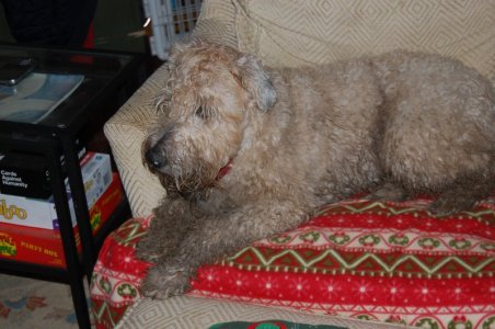 Aidan 2014.JPG