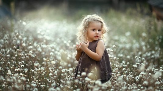 white-hairs-cute-little-girl-is-standing-in-the-middle-of-dandelion-field-wearing-brown-dress-...jpg