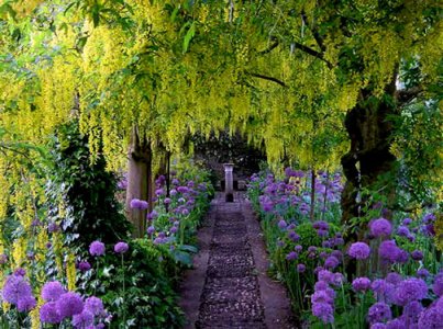 Barnsley-House-Garden-1.jpg