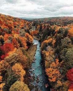 4c1ab43712f2cee56b3a35622ff20177[1].jpg