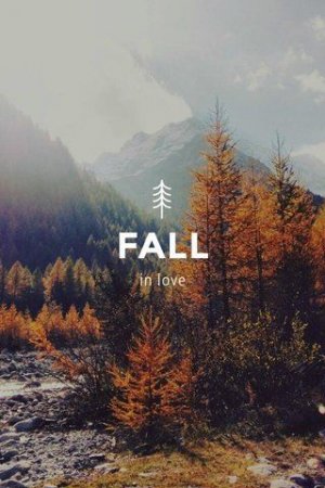 919381ef694b362e1d64413721b67f54[1].jpg
