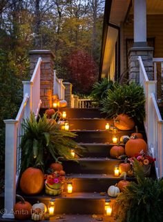 0847e4cdc12ac79b5915f031e3172275[1].jpg