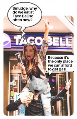 Eat at taco bell.jpg
