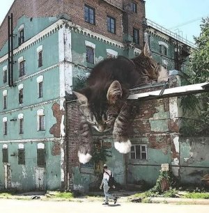 streetart102721.jpg