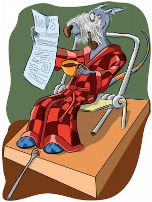 1635113890409.jpeg 1635113890409.jpeg