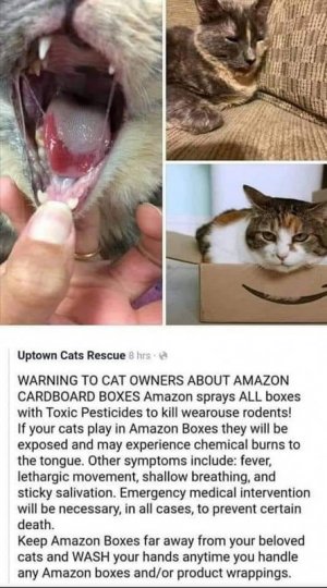 amazon102521.jpg