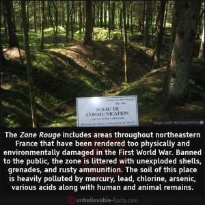 FCBD4183-BDEA-4729-8031-F55A4F72EF5A.jpeg