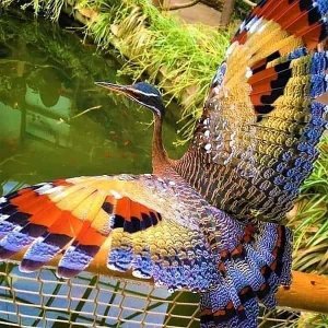 birds102621.jpg