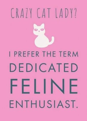 cattitude102721.jpg