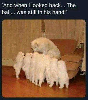 1635281604161.jpg