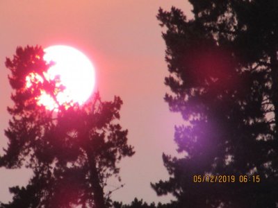 IMG_1597redsunhome.JPG