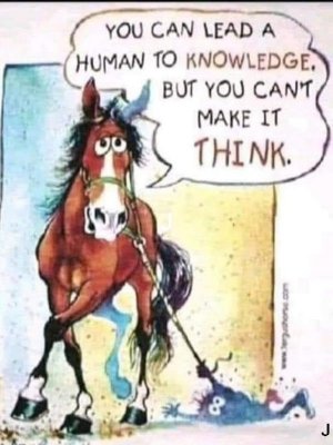 seniorhumor102821.jpg