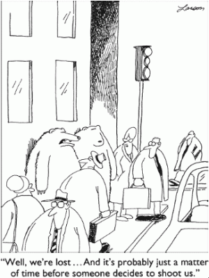 013-bearscity.gif