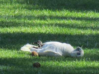 IMG_2205.JPG