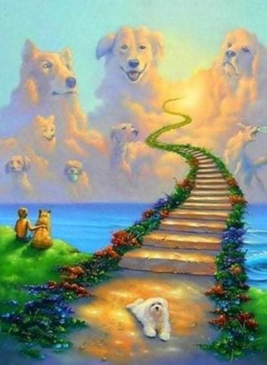 Dogs stairway to heaven.jpg
