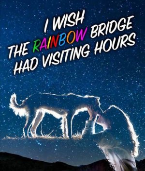 rainbowbridge.jpg rainbowbridge.jpg