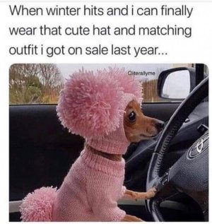 pinky.jpg