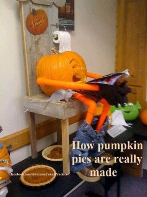 Pumpkin pies.jpg