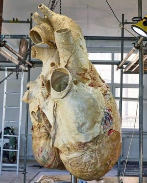 oddfacts102921.jpg