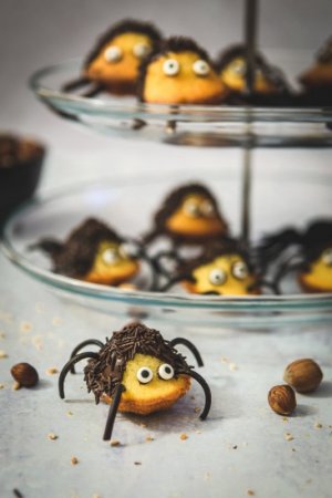 madeleine-noisette-araignee[1].jpg