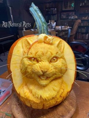 cattitude103121.jpg