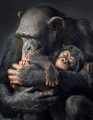babyanimals110121.jpg