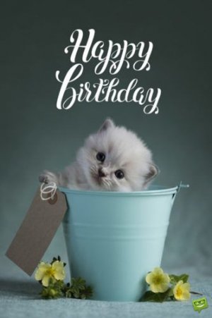 The Best Birthday Wishes to Make Someone's Birthday Special.jpeg