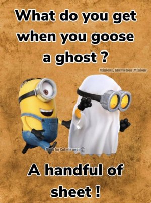 Goose a ghost.jpg