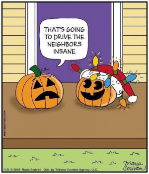 Pumpkin Christmas.jpg