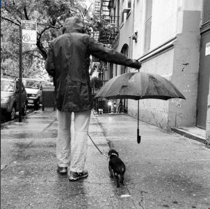 Umbrella @.jpg