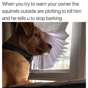 1635792737350.jpg
