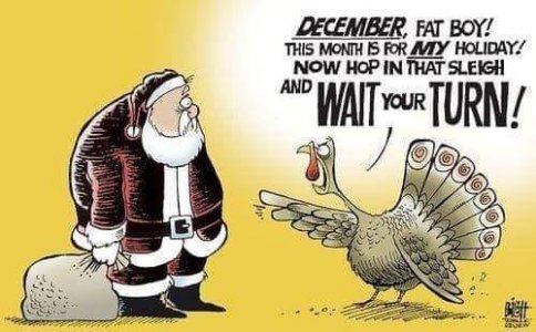Santa & Turkey.jpg