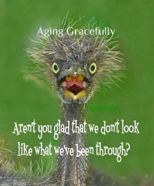 seniorhumor110221.jpg