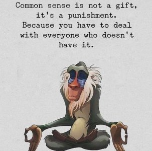 seniorhumor110321.jpg