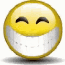 c3bd6fc260cf1e15e748008b9099d6b6[1].gif