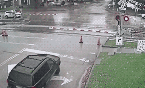 OLI-1 GIF.gif