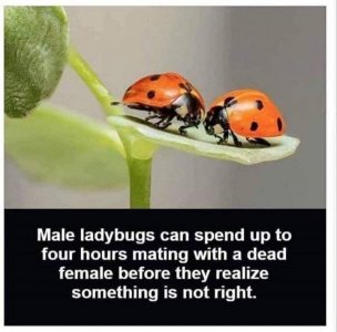 oddandinteresting110421.jpg