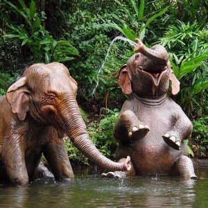 animalhumor102421.jpg