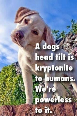 kryptonite.jpg