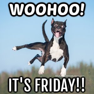 Dog it's friday.jpg