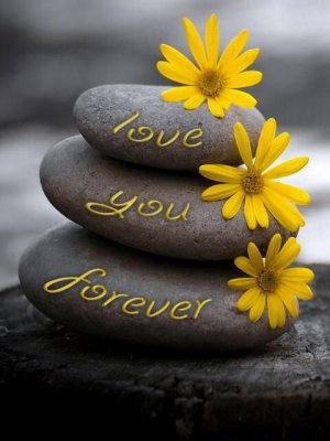 8bf77835bd7aebd1c7e4c0ad130ecf9b.jpg