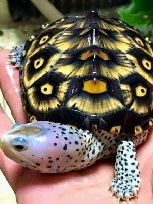 spots110521.jpg