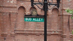 BUD 8.JPG