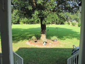 IMG_0455.JPG