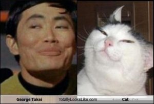 cat_and_sulu.jpg
